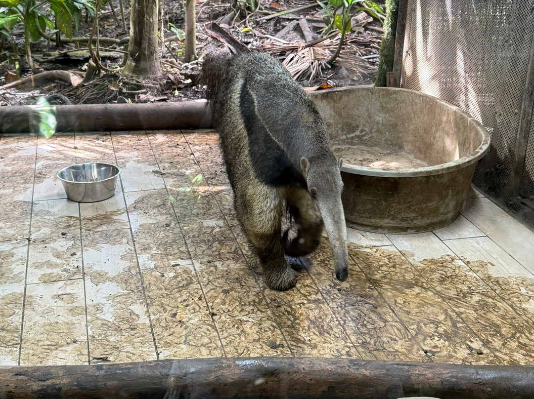 Zoo De Guadeloupe Au Parc Des Mamelles-Bouillante必去景点