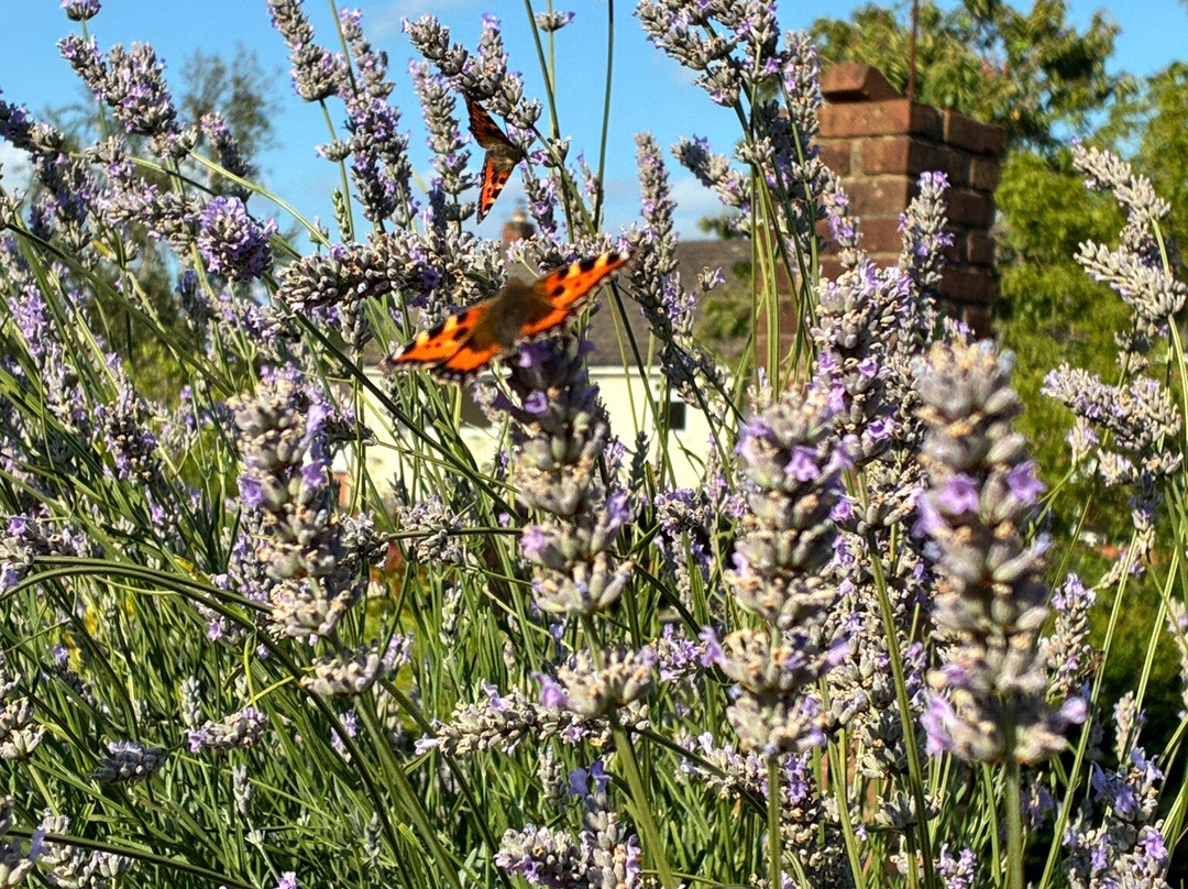 Barton Manor Hotel & Spa主图