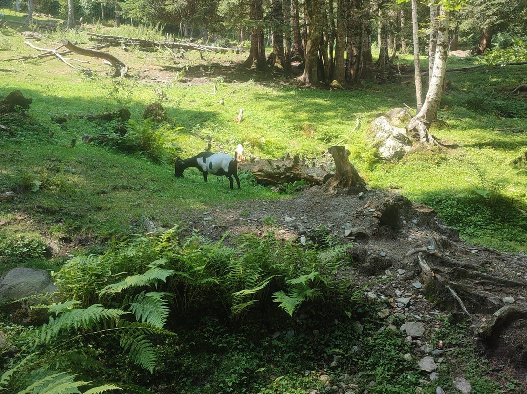 Aran Park-Bossost必去景点