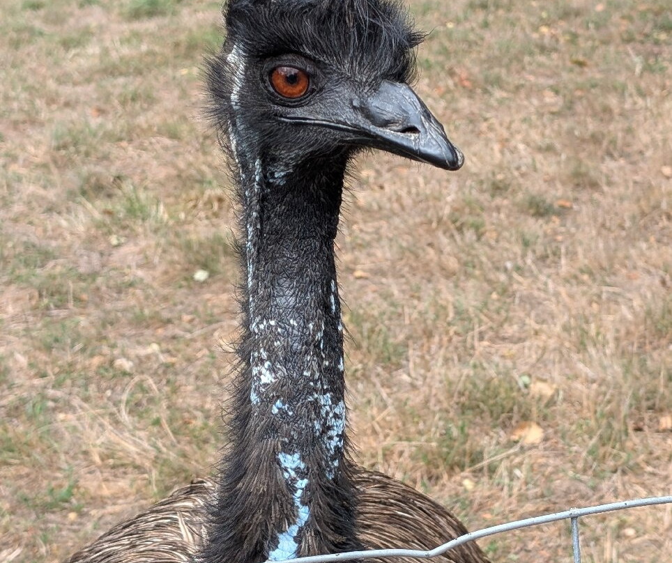 Natural'Parc-Saint-Laurent-des-Autels必去景点