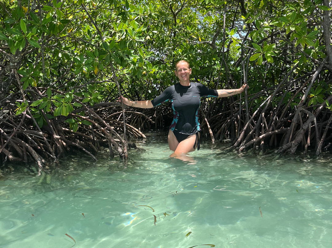 Les Amis De La Mer-Sainte Rose必去景点