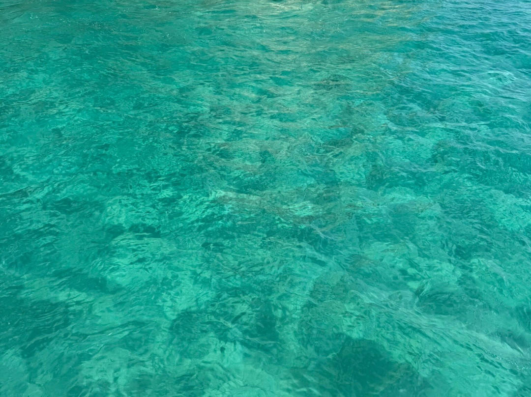 Grotta del Bue Marino-Cala Gonone必去景点