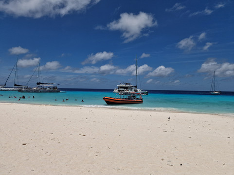 Powerboat Caribbean-威廉斯塔德必去景点