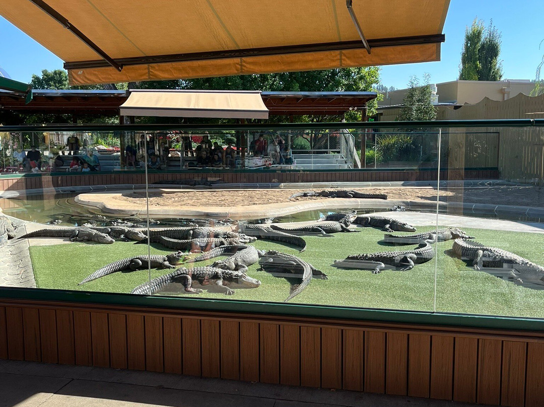 爬虫公园-拉皮德城必去景点