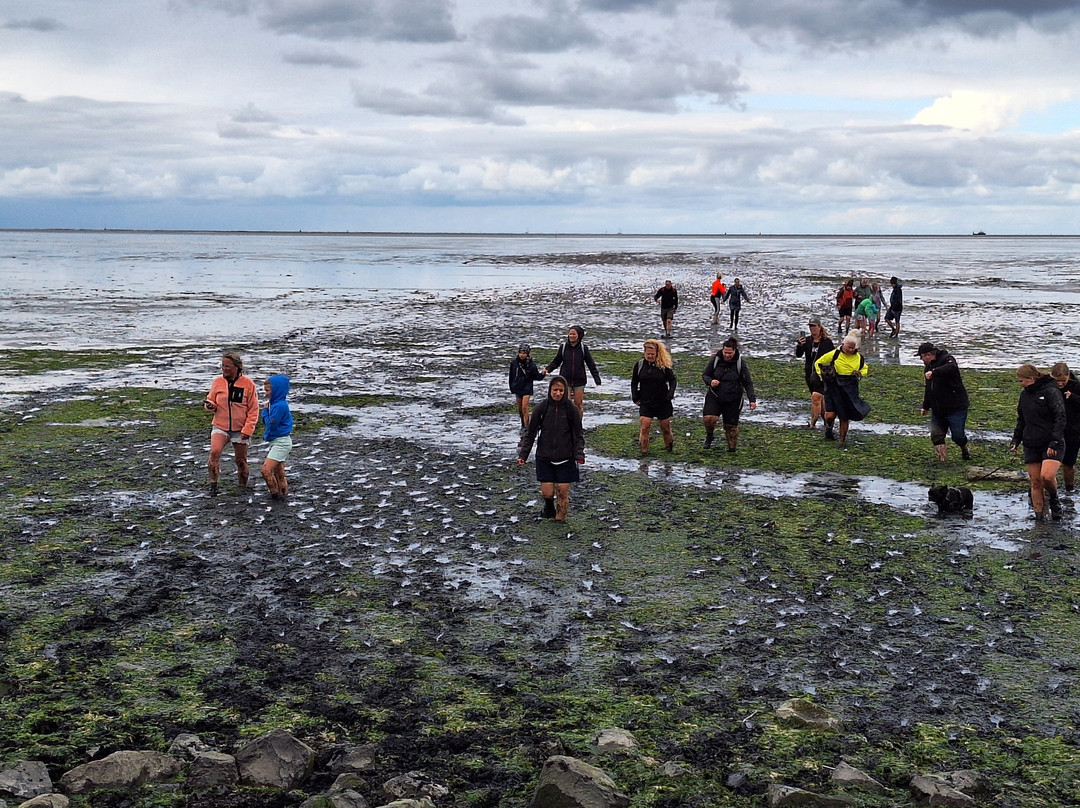 De Groot Recreatie-Hippolytushoef必去景点