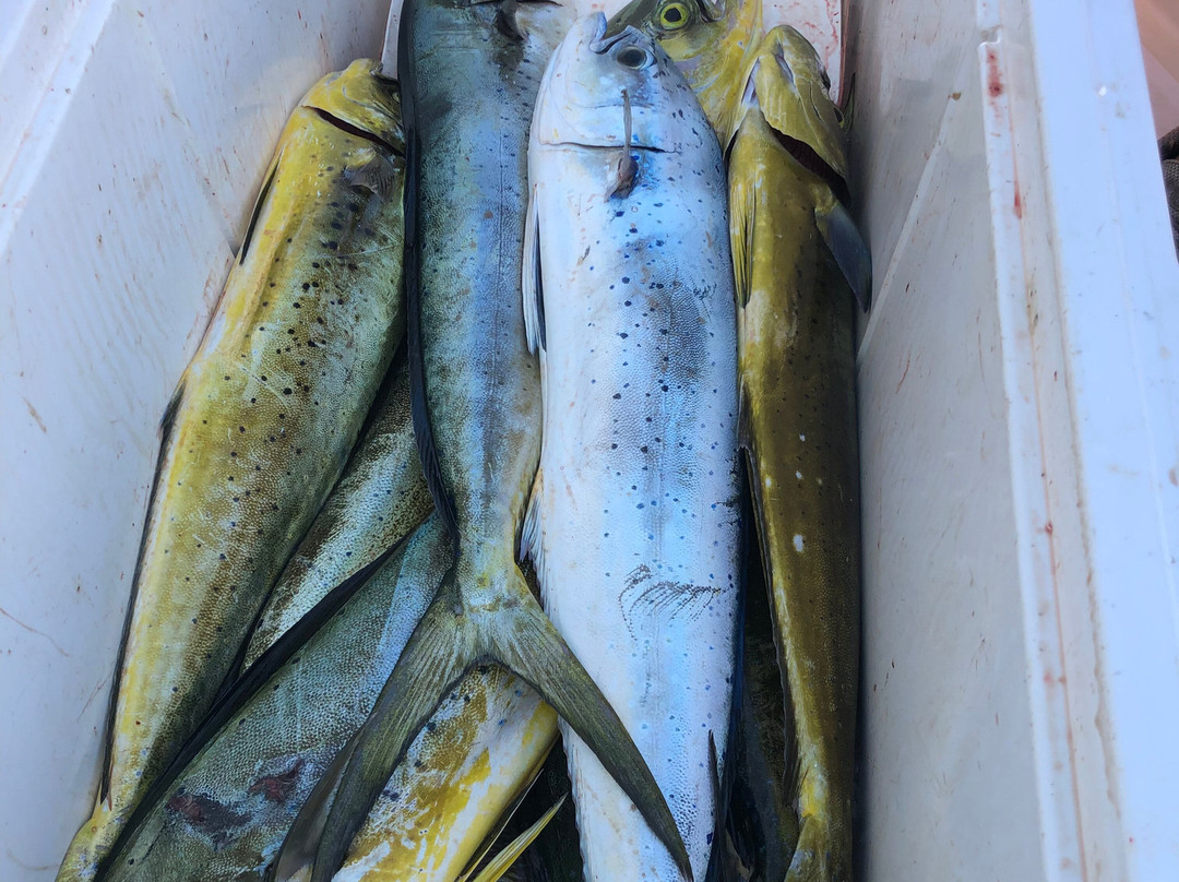 Outta Line Charters-基韦斯特必去景点