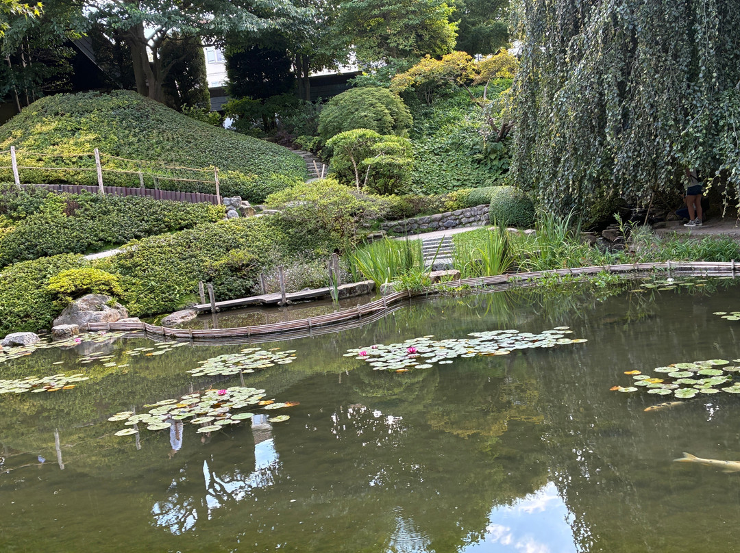 Albert-kahn Musée Départemental-布洛涅-比扬古必去景点