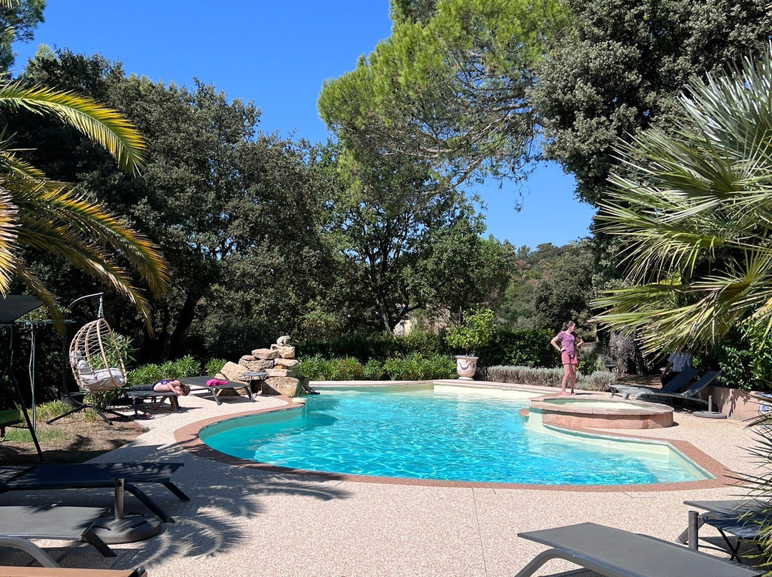 Les Santolines En Provence主图