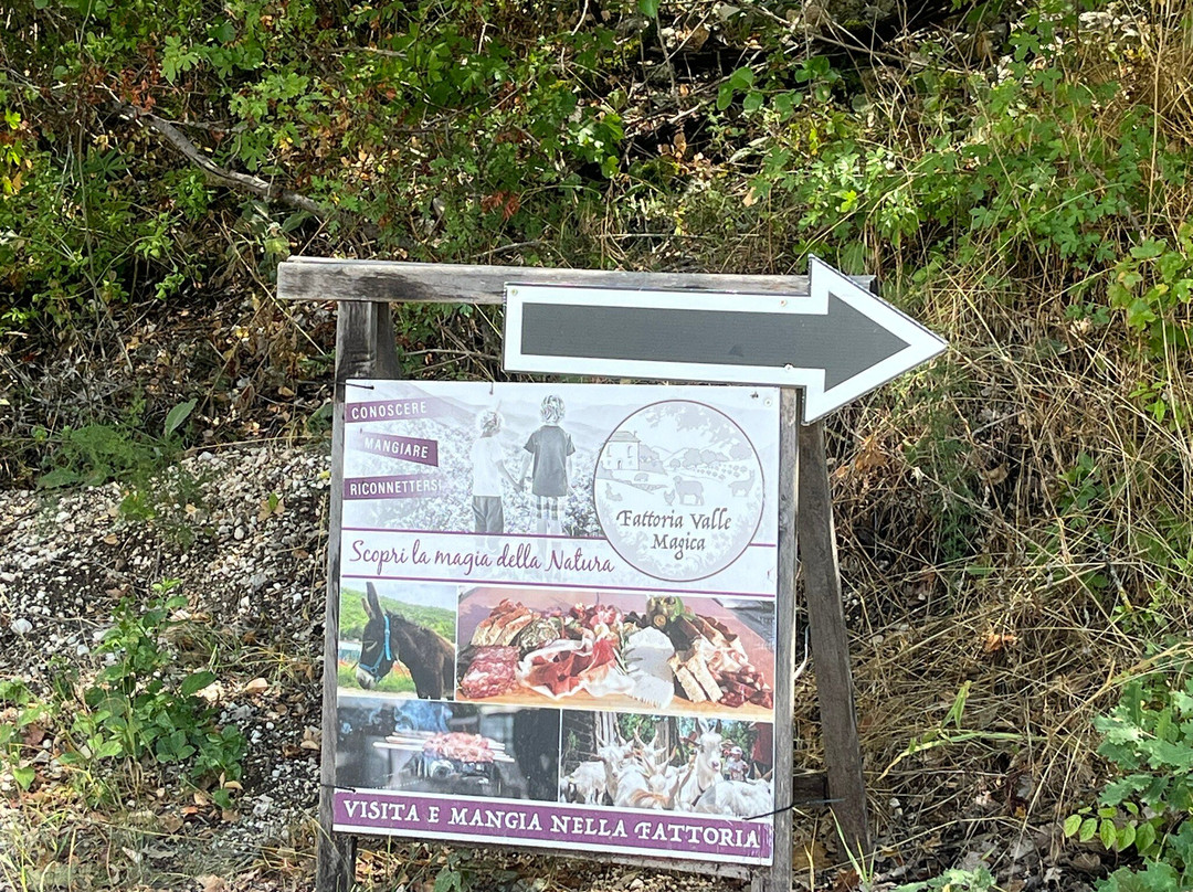 Fattoria Valle Magica-Carapelle Calvisio必去景点