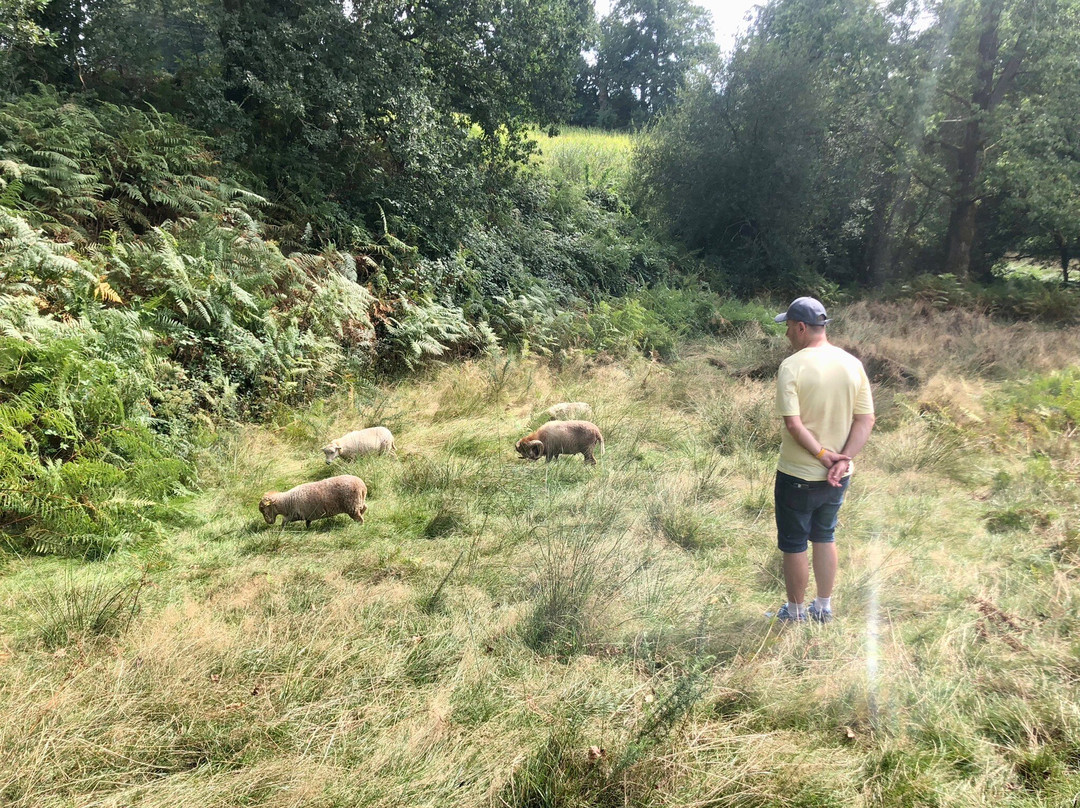 La Balade du Père Nicolas-Plumeliau必去景点