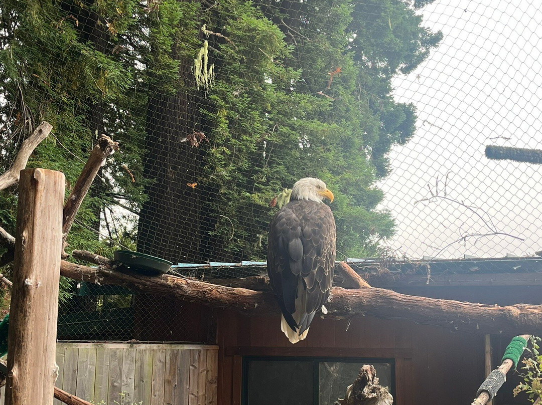 Sequoia Park-尤里卡必去景点