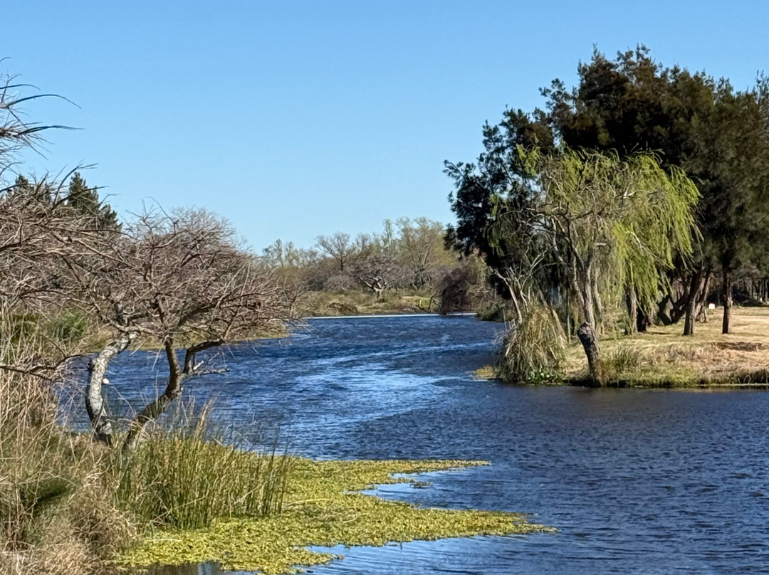 Sheraton Colonia Golf & Spa Resort主图