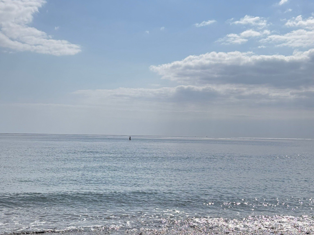 Seaton Beach-托波因特必去景点