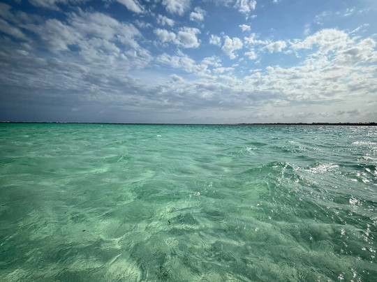 Moha Safari Kenya-瓦塔木必去景点