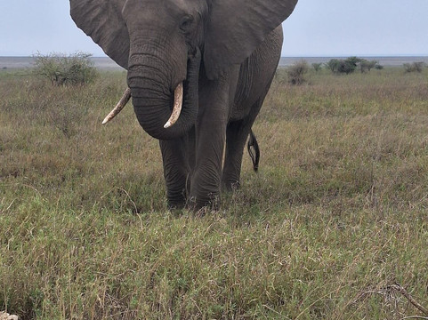 Wilderness Winners Safaris-阿鲁沙必去景点