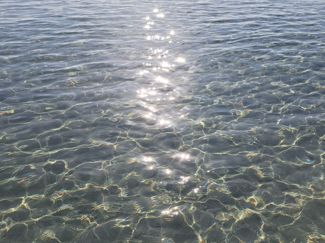 Spiaggia La Cinta-San Teodoro必去景点