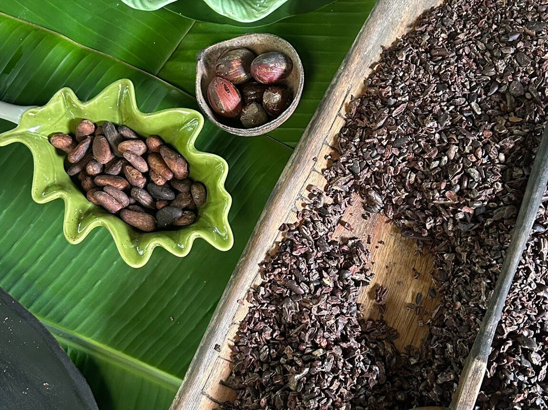 Cacao Trails Culture Tour-Hone Creek必去景点