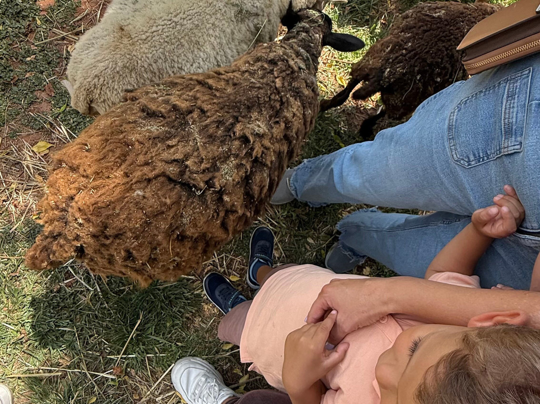 Finca VAI-Purisima de Cubos必去景点