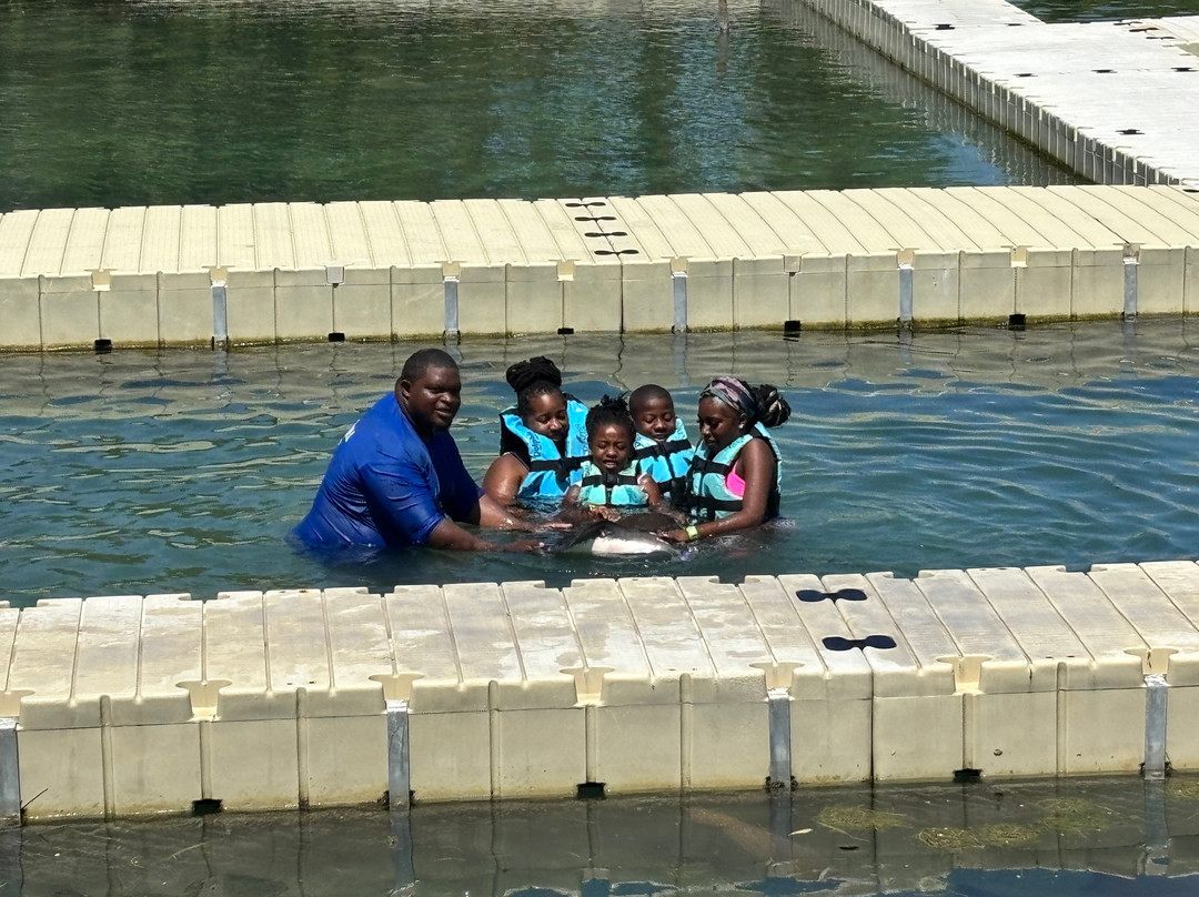 Dolphin Cove Montego Bay-Lucea必去景点