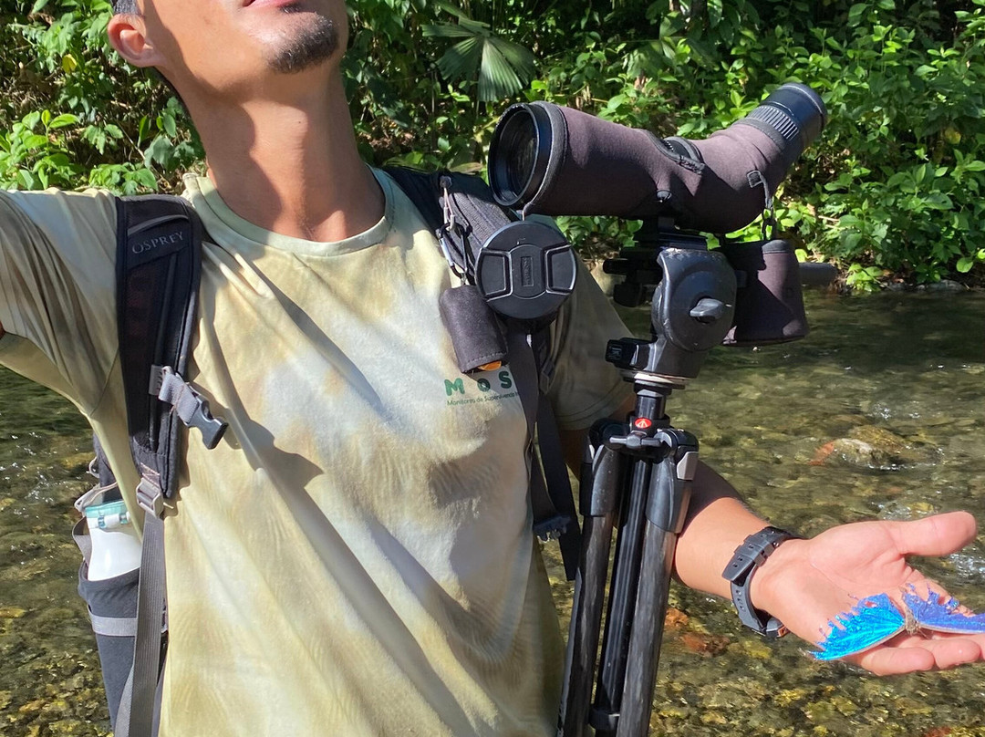 Osa Nature Tours-Dos Brazos必去景点