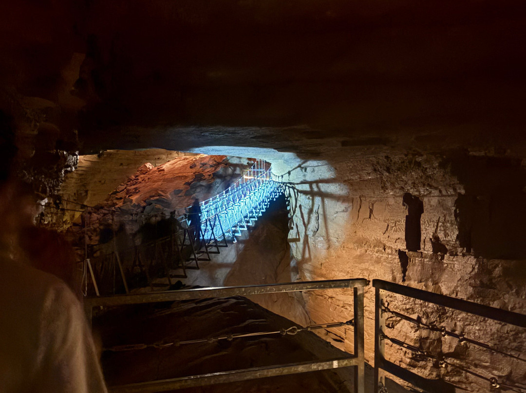 Hidden River Cave and American Cave Museum-Horse Cave必去景点