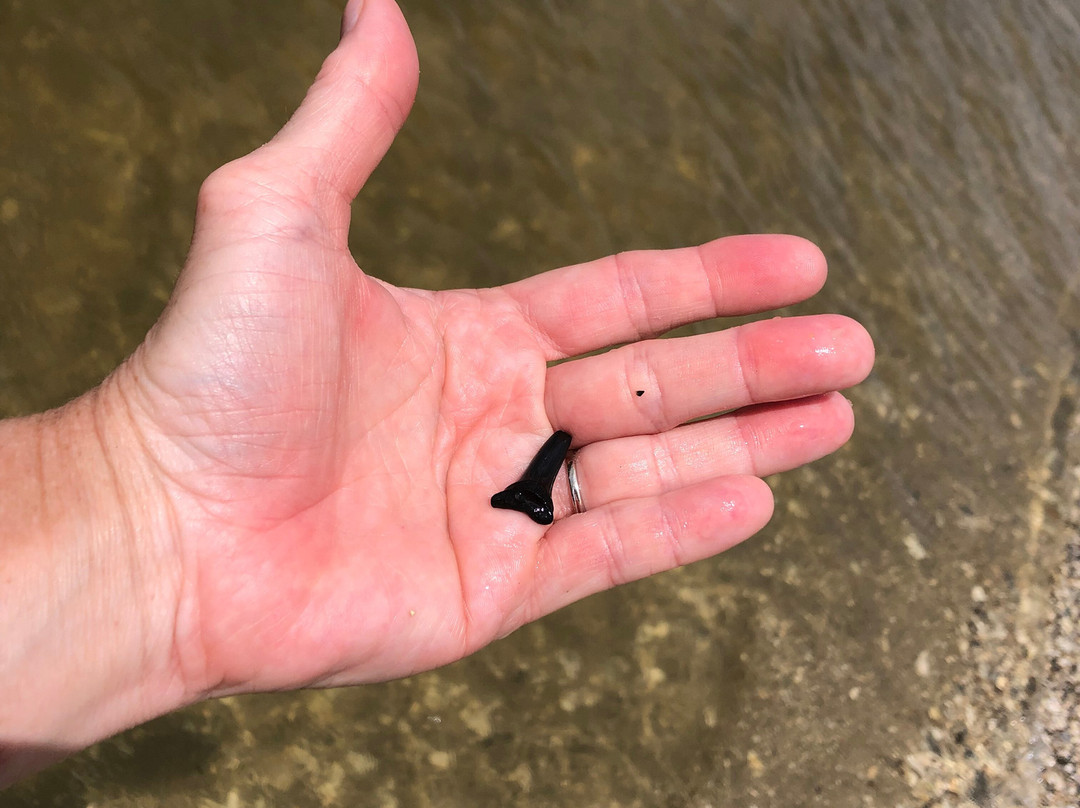 Pogies-Swansboro必去景点