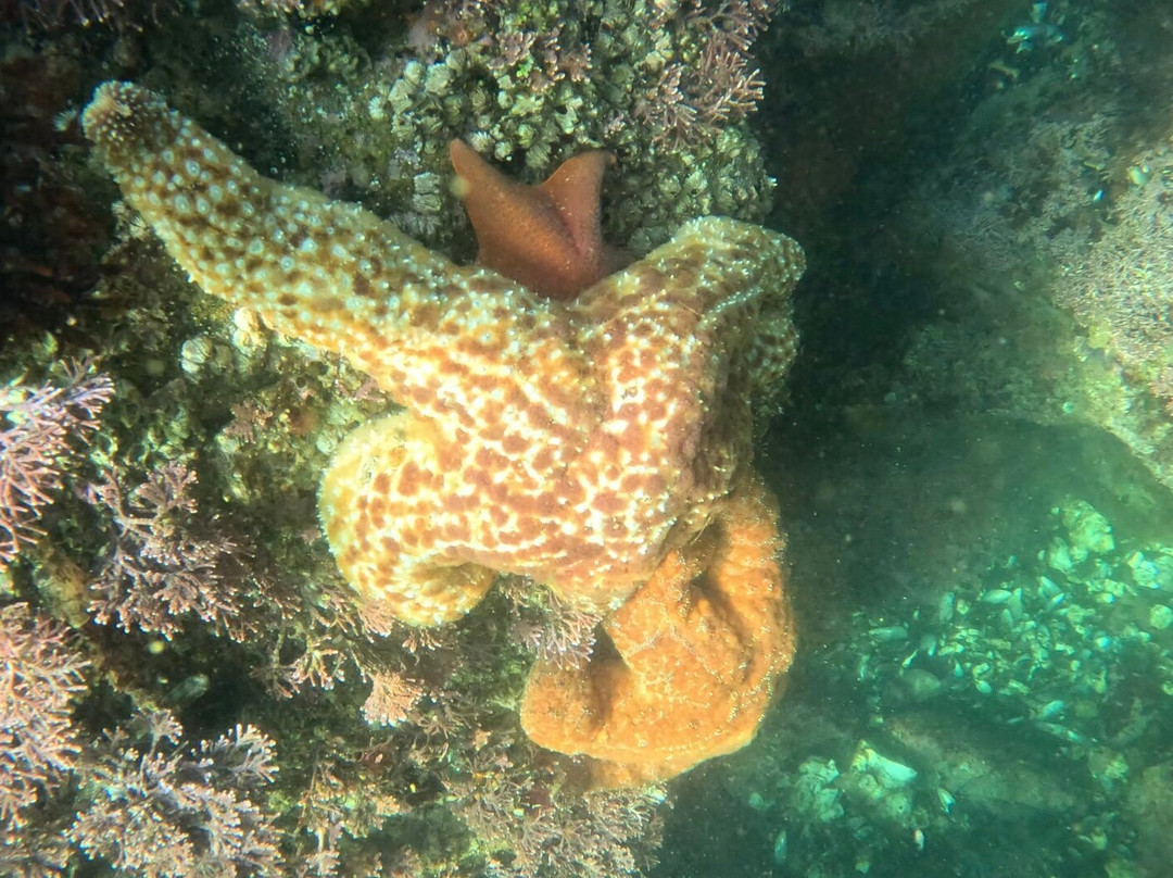 Monterey Expeditions-蒙特雷必去景点