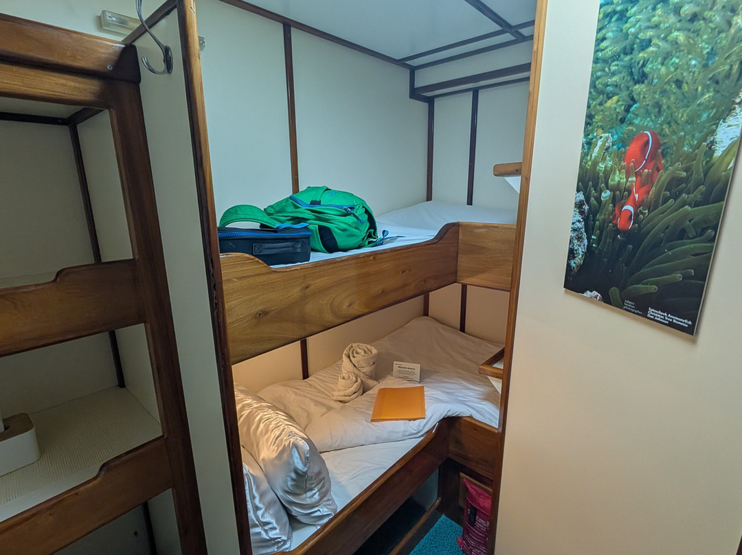 Pacific Master - Master Liveaboards-Chuuk必去景点