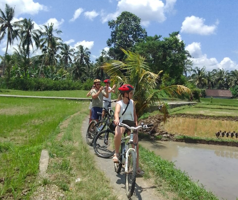 Ubud Cycling Bike-乌布必去景点