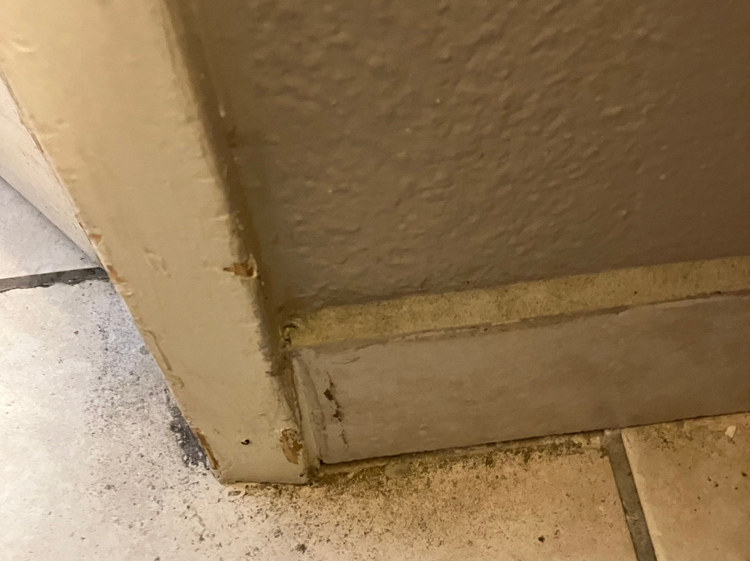 Best Western Andersen's Inn主图