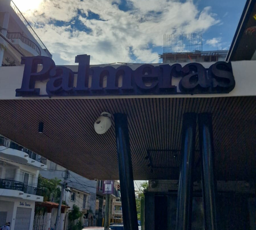 Hotel Palmeras主图