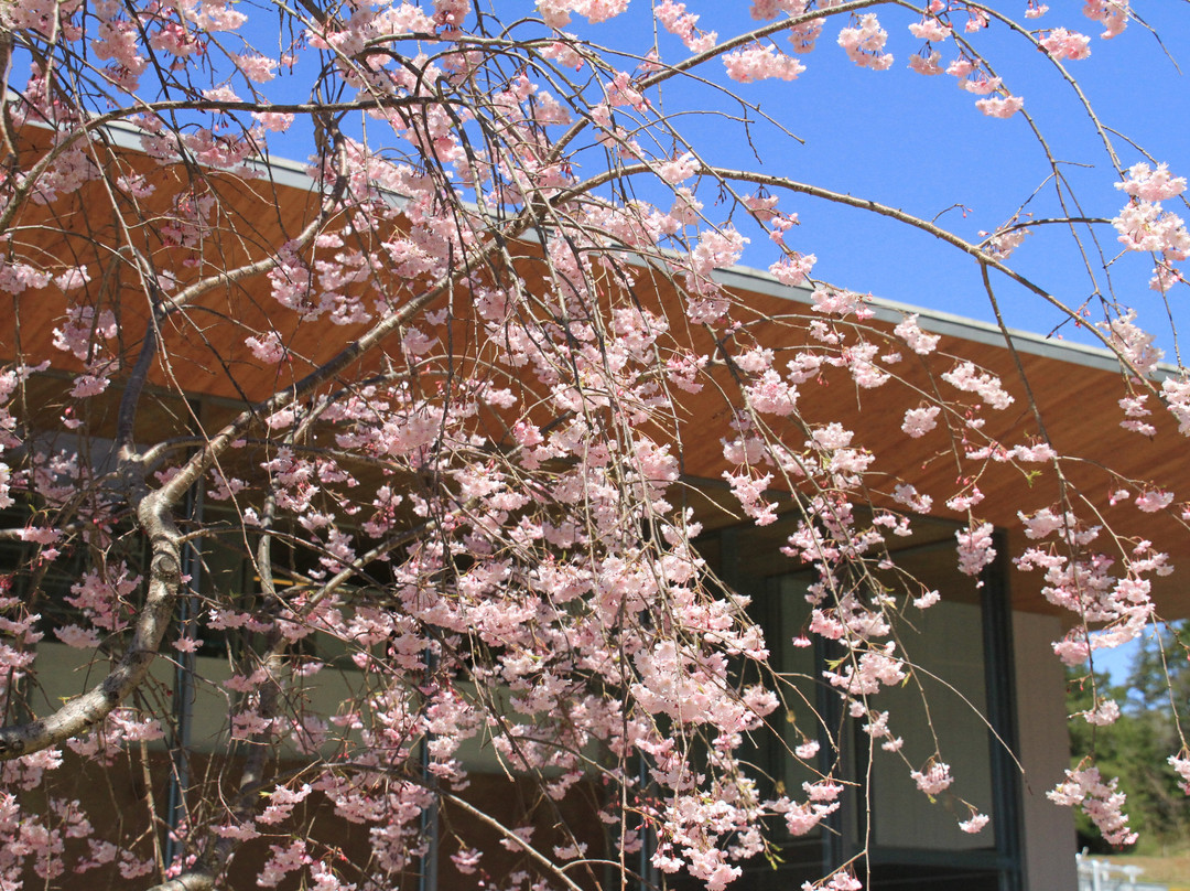 Komoro Distillery-小诸市必去景点