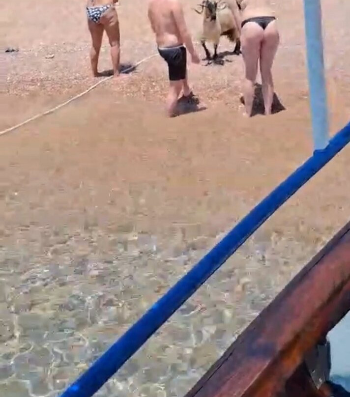 Captain Manolis Lazy Day Boat Trip-Vlycha必去景点