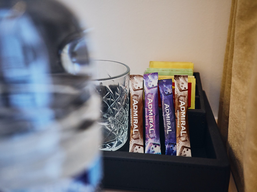 Casino & Hotel ADMIRAL Škofije主图