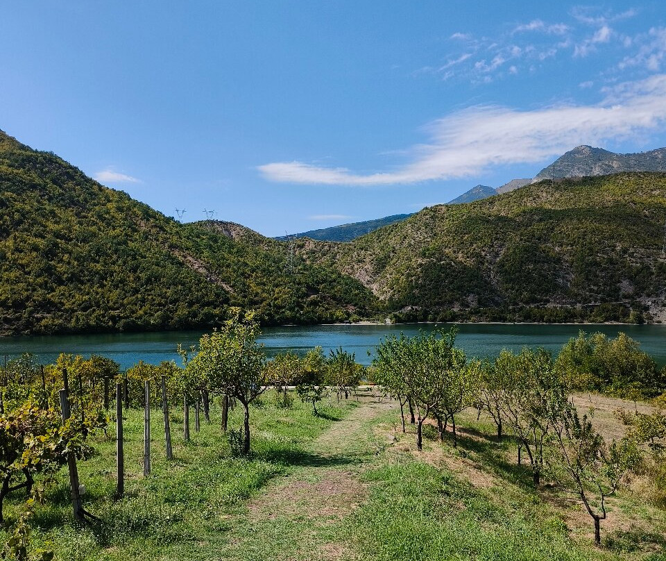 Agroturizem Hotel Vila Franceze主图