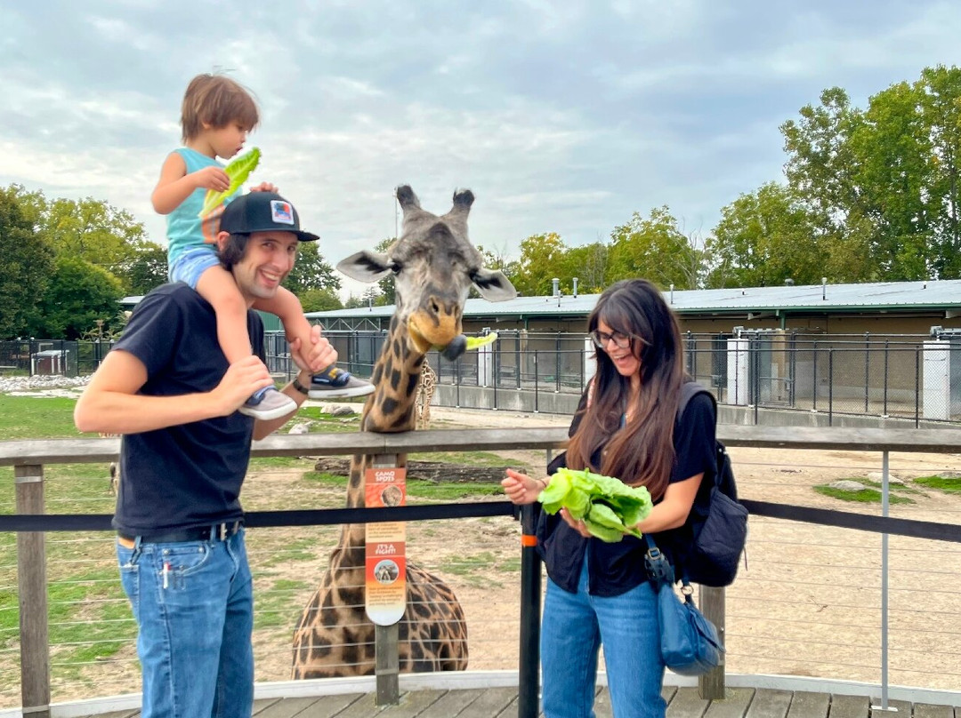 托莱多动物园-托莱多必去景点