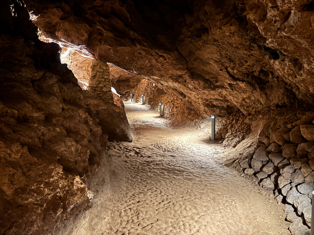 Altensteiner Höhle-Bad Liebenstein必去景点