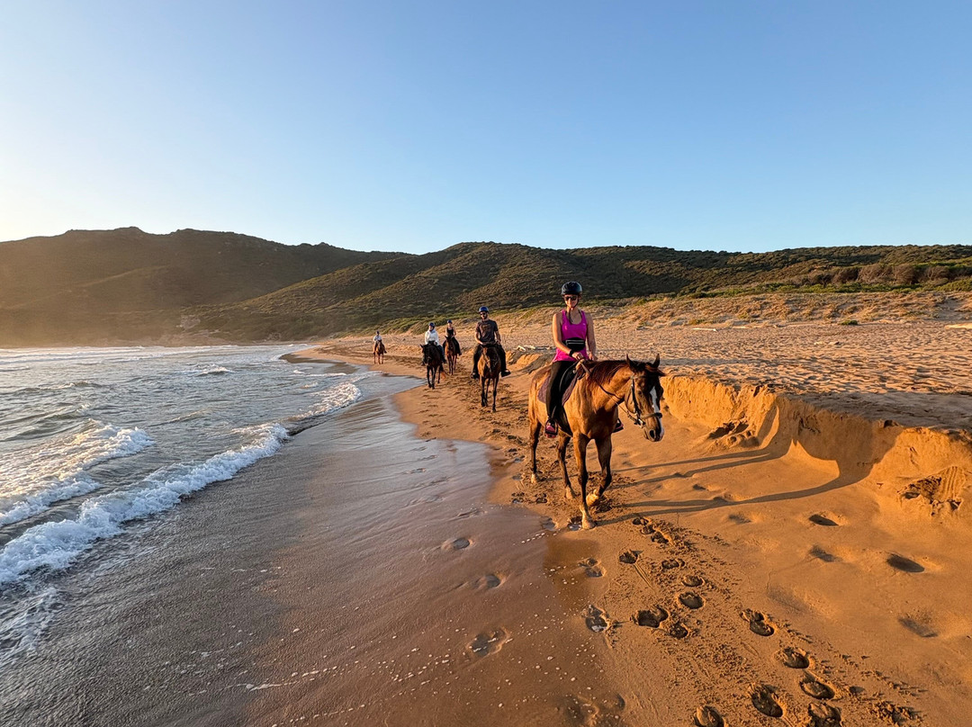 Tre Stelle Sa Mandra-阿尔盖罗必去景点