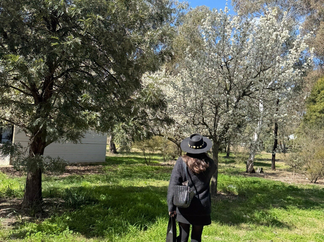 Mudgee VIP Wine Tours-马奇必去景点