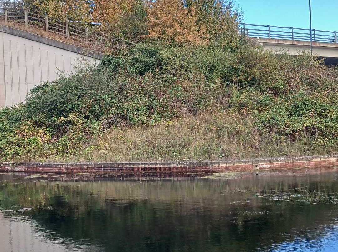 Chesterfield Canal-切斯特菲尔德必去景点