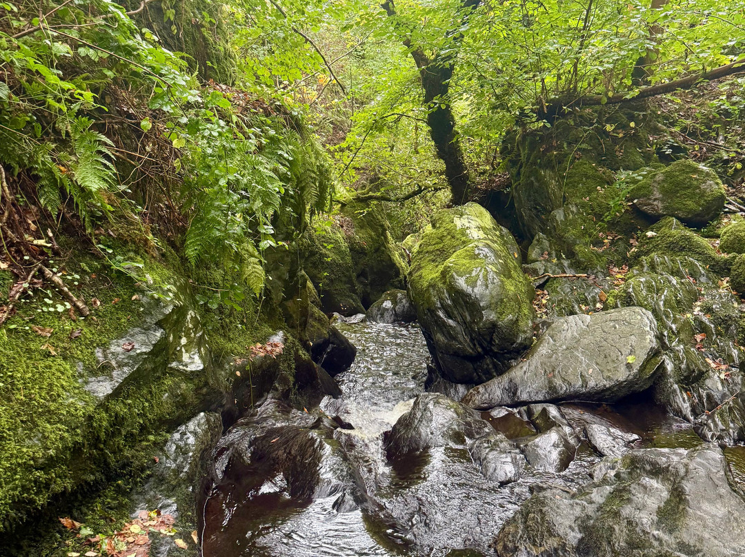 TNR Outdoors-兰戈伦必去景点