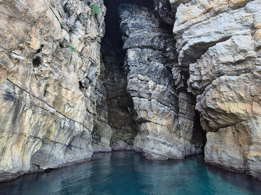 Levante Tour-Balestrate必去景点