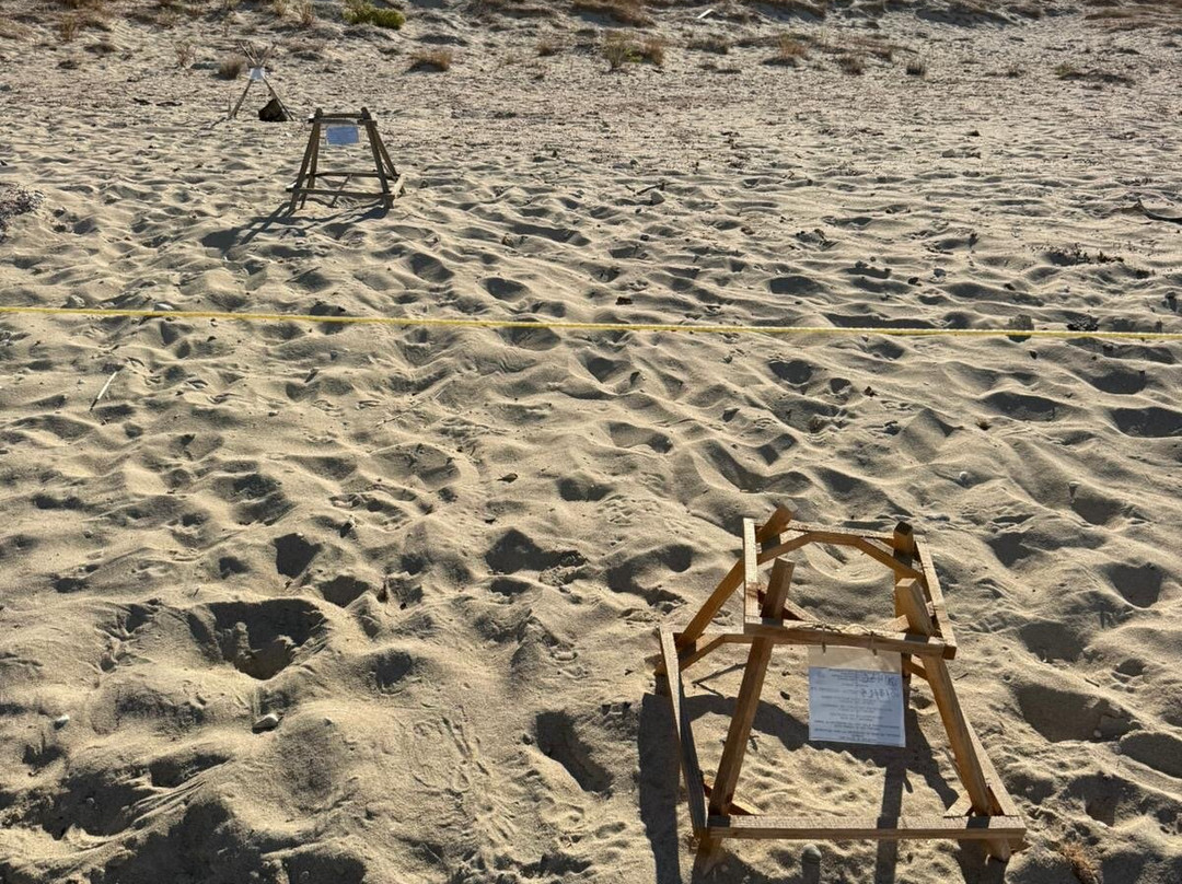 WelcometoZante-扎金索斯必去景点