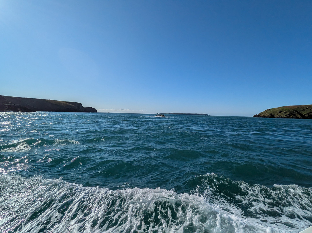 Pembrokeshire Islands Boat Trips-Marloes必去景点