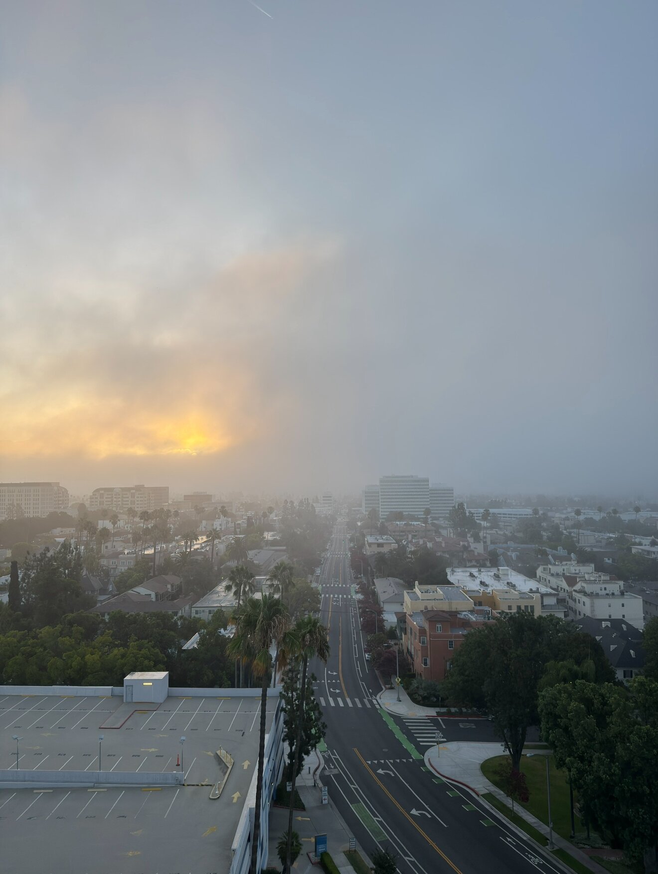帕萨迪纳希尔顿酒店-酒店景观