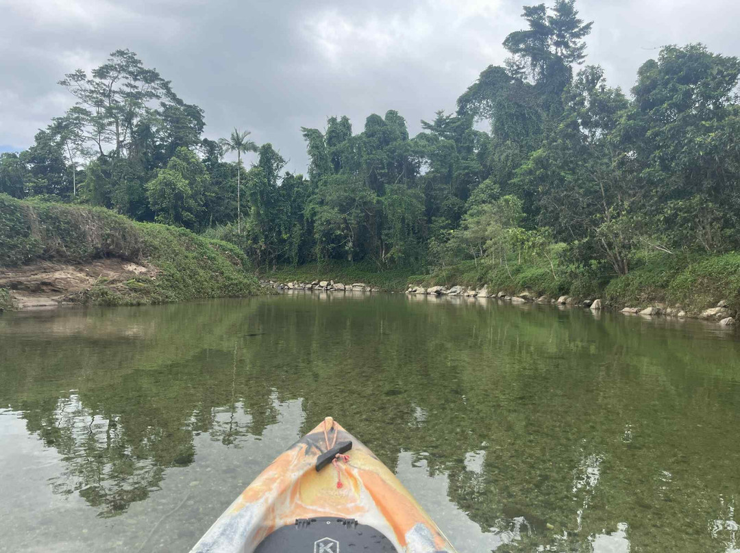 Babinda Kayaking-Babinda必去景点
