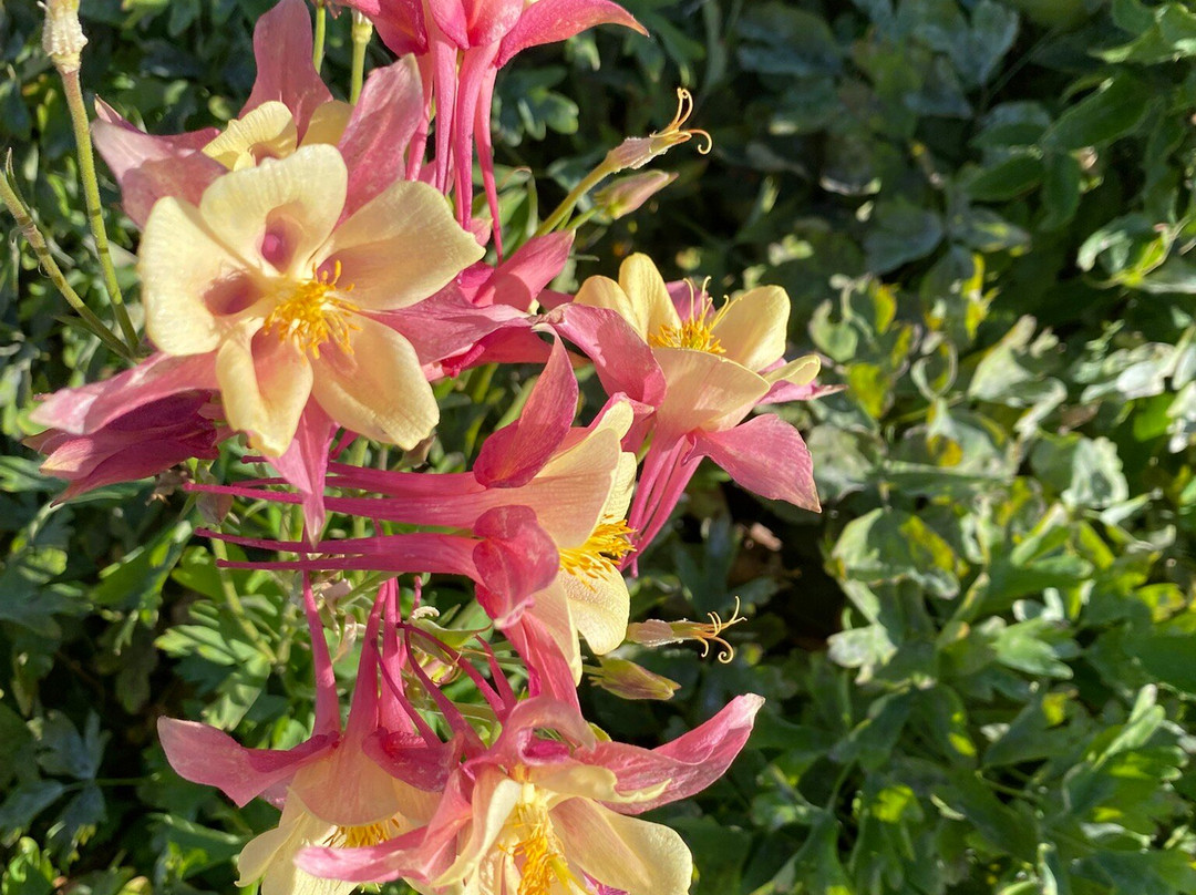 Hagerman Fossil Beds National Monument-Hagerman必去景点