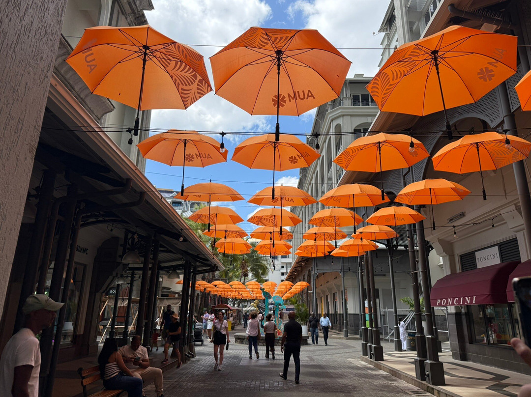 Belle Mare Tours-贝尔马尔必去景点