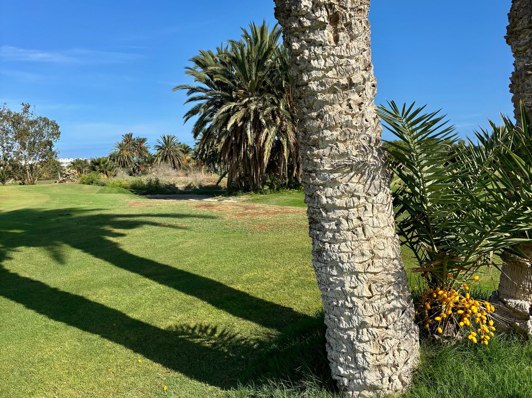 Palm Links Golf Course-摩纳斯特必去景点