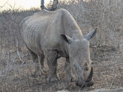 Footprints in Africa Tours-比勒陀利亚必去景点